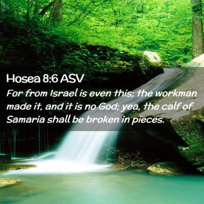 Picture 02 - Hosea 8:6 ASV - For from Israel is even this; the workman made - Bible Verse Picture