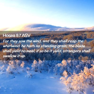 Picture 02 - Hosea 8:7 ASV - For they sow the wind, and they shall reap the - Bible Verse Picture