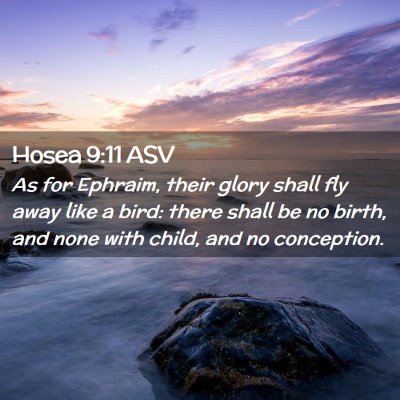 Picture 02 - Hosea 9:11 ASV - As for Ephraim, their glory shall fly away like a - Bible Verse Picture