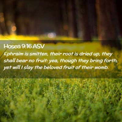 Picture 02 - Hosea 9:16 ASV - Ephraim is smitten, their root is dried up, they - Bible Verse Picture