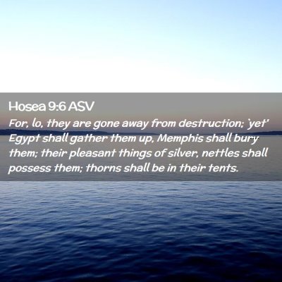 Picture 02 - Hosea 9:6 ASV - For, lo, they are gone away from destruction; - Bible Verse Picture