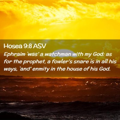 Picture 02 - Hosea 9:8 ASV - Ephraim `was' a watchman with my God: as for the - Bible Verse Picture