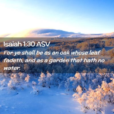 Picture 02 - Isaiah 1:30 ASV - For ye shall be as an oak whose leaf fadeth, and - Bible Verse Picture