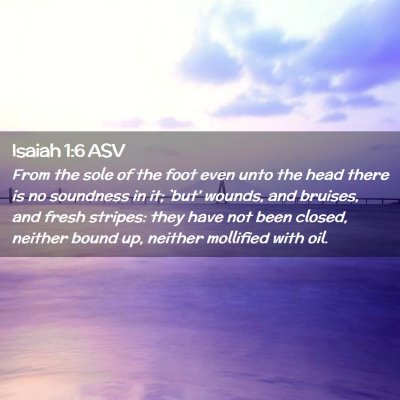 Picture 02 - Isaiah 1:6 ASV - From the sole of the foot even unto the head - Bible Verse Picture