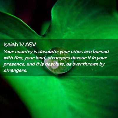 Picture 02 - Isaiah 1:7 ASV - Your country is desolate; your cities are burned - Bible Verse Picture
