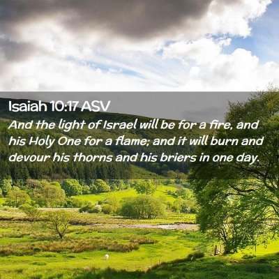 Picture 02 - Isaiah 10:17 ASV - And the light of Israel will be for a fire, and - Bible Verse Picture