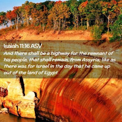 Picture 02 - Isaiah 11:16 ASV - And there shall be a highway for the remnant of - Bible Verse Picture