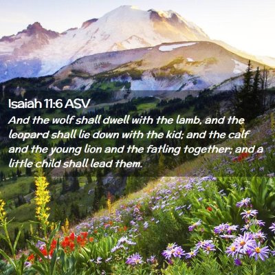 Picture 02 - Isaiah 11:6 ASV - And the wolf shall dwell with the lamb, and the - Bible Verse Picture