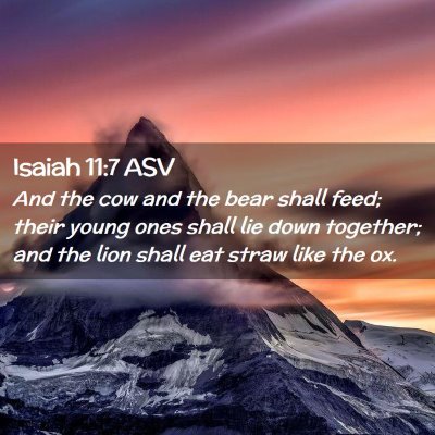 Picture 02 - Isaiah 11:7 ASV - And the cow and the bear shall feed; their young - Bible Verse Picture