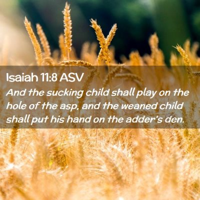 Picture 02 - Isaiah 11:8 ASV - And the sucking child shall play on the hole of - Bible Verse Picture