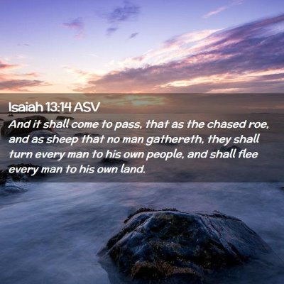 Picture 02 - Isaiah 13:14 ASV - And it shall come to pass, that as the chased - Bible Verse Picture