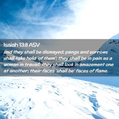 Picture 02 - Isaiah 13:8 ASV - and they shall be dismayed; pangs and sorrows - Bible Verse Picture