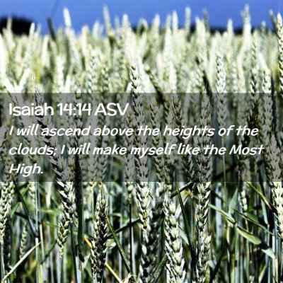 Picture 02 - Isaiah 14:14 ASV - I will ascend above the heights of the clouds; I - Bible Verse Picture