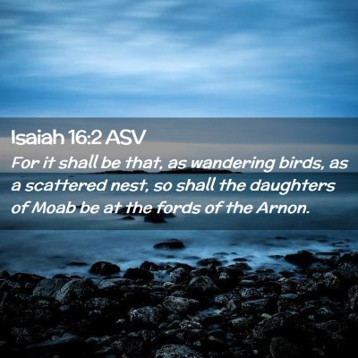Picture 02 - Isaiah 16:2 ASV - For it shall be that, as wandering birds, as a - Bible Verse Picture