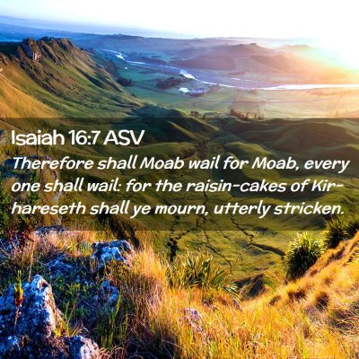 Picture 02 - Isaiah 16:7 ASV - Therefore shall Moab wail for Moab, every one - Bible Verse Picture