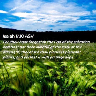 Picture 02 - Isaiah 17:10 ASV - For thou hast forgotten the God of thy salvation, - Bible Verse Picture