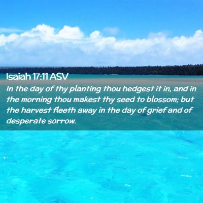 Picture 02 - Isaiah 17:11 ASV - In the day of thy planting thou hedgest it in, - Bible Verse Picture