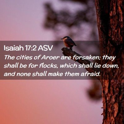 Picture 02 - Isaiah 17:2 ASV - The cities of Aroer are forsaken; they shall be - Bible Verse Picture