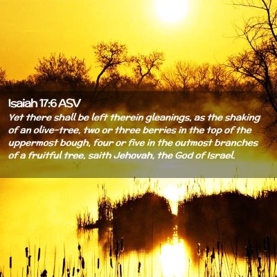 Picture 02 - Isaiah 17:6 ASV - Yet there shall be left therein gleanings, as the - Bible Verse Picture