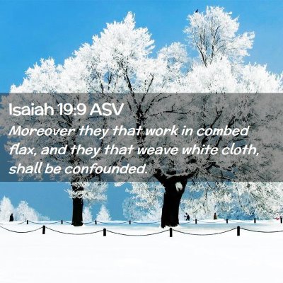 Picture 02 - Isaiah 19:9 ASV - Moreover they that work in combed flax, and they - Bible Verse Picture