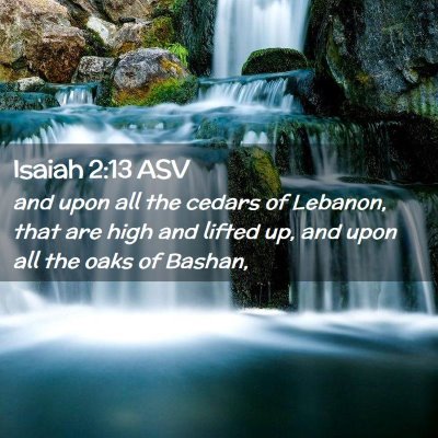 Picture 02 - Isaiah 2:13 ASV - and upon all the cedars of Lebanon, that are high - Bible Verse Picture