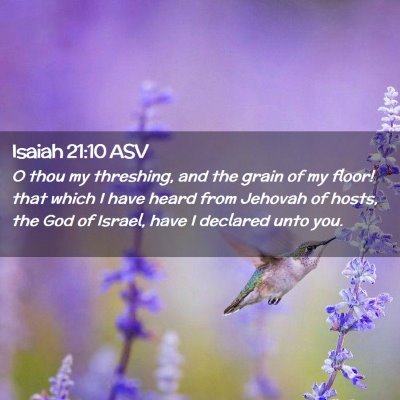 Picture 02 - Isaiah 21:10 ASV - O thou my threshing, and the grain of my floor! - Bible Verse Picture