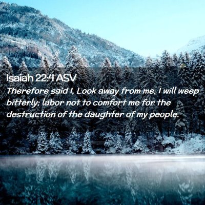 Picture 02 - Isaiah 22:4 ASV - Therefore said I, Look away from me, I will weep - Bible Verse Picture