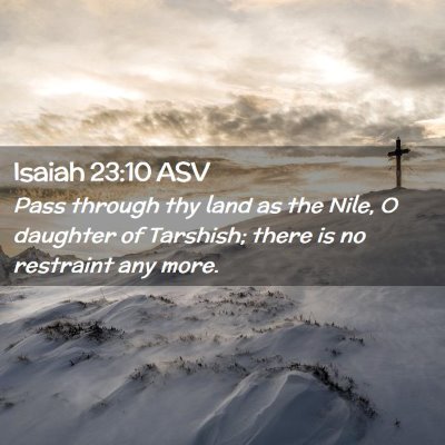 Picture 02 - Isaiah 23:10 ASV - Pass through thy land as the Nile, O daughter of - Bible Verse Picture