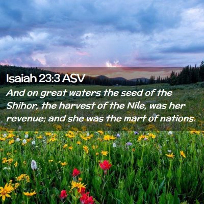Picture 02 - Isaiah 23:3 ASV - And on great waters the seed of the Shihor, the - Bible Verse Picture
