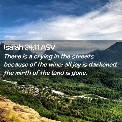Picture 02 - Isaiah 24:11 ASV - There is a crying in the streets because of the - Bible Verse Picture