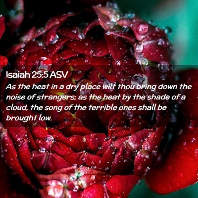 Picture 02 - Isaiah 25:5 ASV - As the heat in a dry place wilt thou bring down - Bible Verse Picture