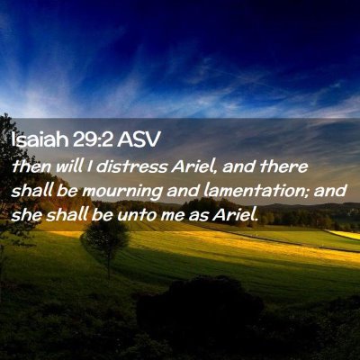 Picture 02 - Isaiah 29:2 ASV - then will I distress Ariel, and there shall be - Bible Verse Picture
