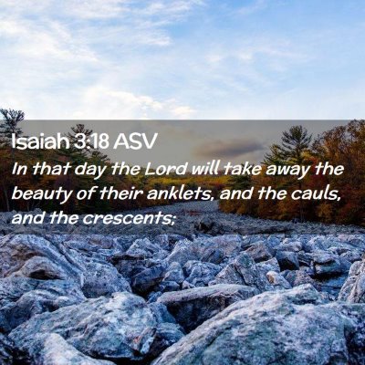 Picture 02 - Isaiah 3:18 ASV - In that day the Lord will take away the beauty of - Bible Verse Picture