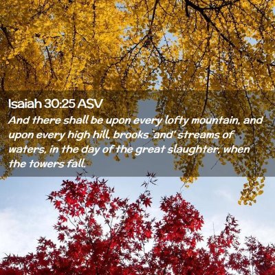 Picture 02 - Isaiah 30:25 ASV - And there shall be upon every lofty mountain, and - Bible Verse Picture
