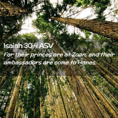 Picture 02 - Isaiah 30:4 ASV - For their princes are at Zoan, and their - Bible Verse Picture