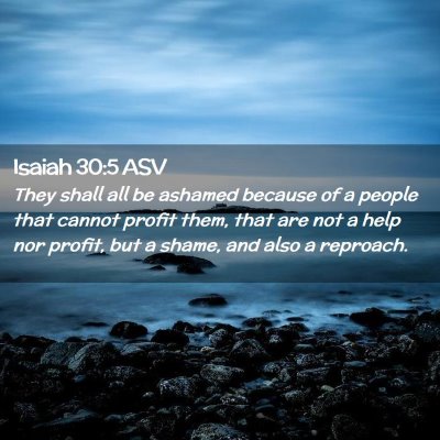 Picture 02 - Isaiah 30:5 ASV - They shall all be ashamed because of a people - Bible Verse Picture