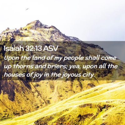Picture 02 - Isaiah 32:13 ASV - Upon the land of my people shall come up thorns - Bible Verse Picture