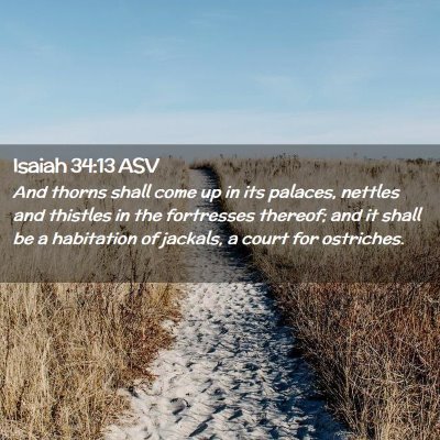 Picture 02 - Isaiah 34:13 ASV - And thorns shall come up in its palaces, nettles - Bible Verse Picture