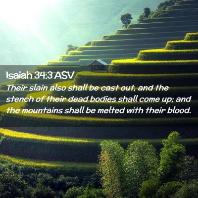 Picture 02 - Isaiah 34:3 ASV - Their slain also shall be cast out, and the - Bible Verse Picture
