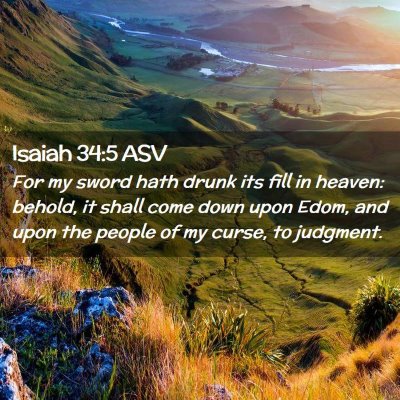 Picture 02 - Isaiah 34:5 ASV - For my sword hath drunk its fill in heaven: - Bible Verse Picture