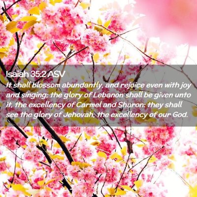 Picture 02 - Isaiah 35:2 ASV - It shall blossom abundantly, and rejoice even - Bible Verse Picture