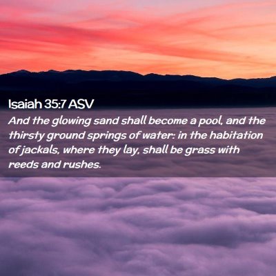 Picture 02 - Isaiah 35:7 ASV - And the glowing sand shall become a pool, and the - Bible Verse Picture