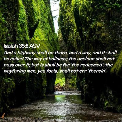 Picture 02 - Isaiah 35:8 ASV - And a highway shall be there, and a way, and it - Bible Verse Picture