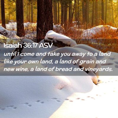 Picture 02 - Isaiah 36:17 ASV - until I come and take you away to a land like - Bible Verse Picture