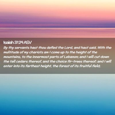 Picture 02 - Isaiah 37:24 ASV - By thy servants hast thou defied the Lord, and - Bible Verse Picture