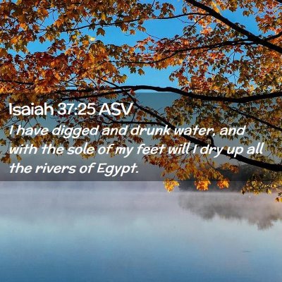 Picture 02 - Isaiah 37:25 ASV - I have digged and drunk water, and with the sole - Bible Verse Picture