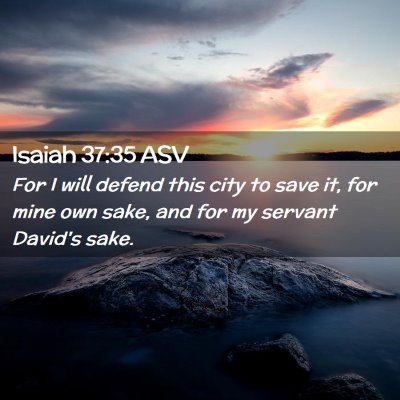 Picture 02 - Isaiah 37:35 ASV - For I will defend this city to save it, for mine - Bible Verse Picture