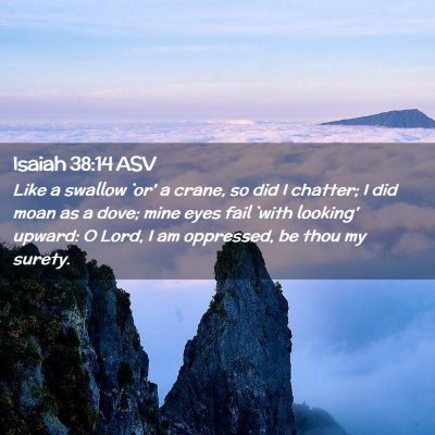 Picture 02 - Isaiah 38:14 ASV - Like a swallow `or' a crane, so did I chatter; I - Bible Verse Picture
