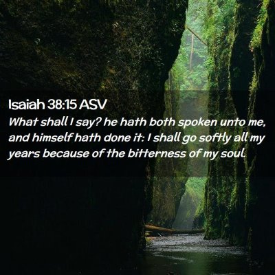 Picture 02 - Isaiah 38:15 ASV - What shall I say? he hath both spoken unto me, - Bible Verse Picture