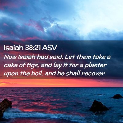 Picture 02 - Isaiah 38:21 ASV - Now Isaiah had said, Let them take a cake of - Bible Verse Picture